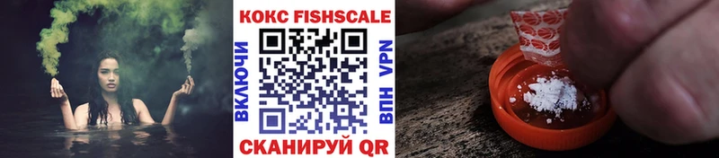 купить закладку  ОМГ ОМГ онион  Cocaine FishScale  Перевоз 