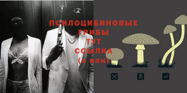 spice Алексеевка