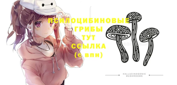 дурь Алзамай