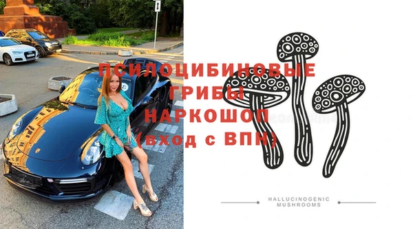 дурь Алзамай