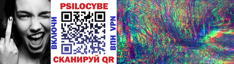 Псилоцибиновые грибы прущие грибы где найти mega зеркало Перевоз